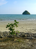 อุทยานแห่งชาติหาดนพรัตน์ธารา อ.เมือง จ.กระบี่ 